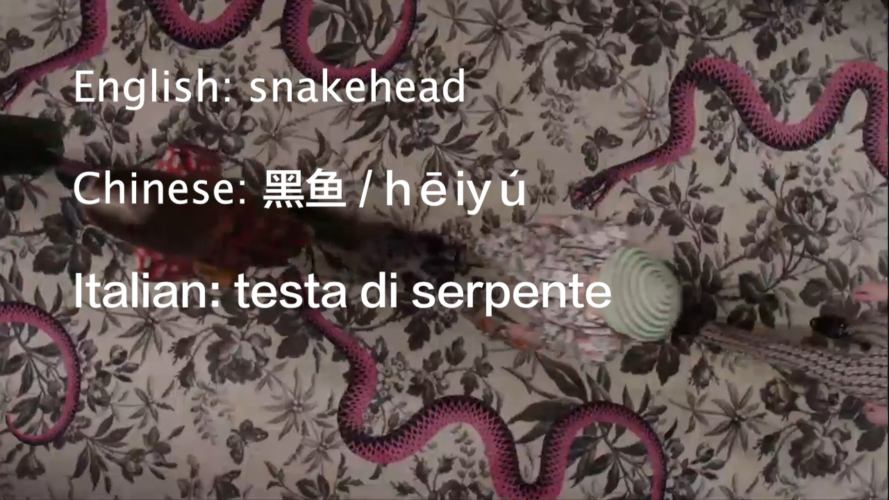 s